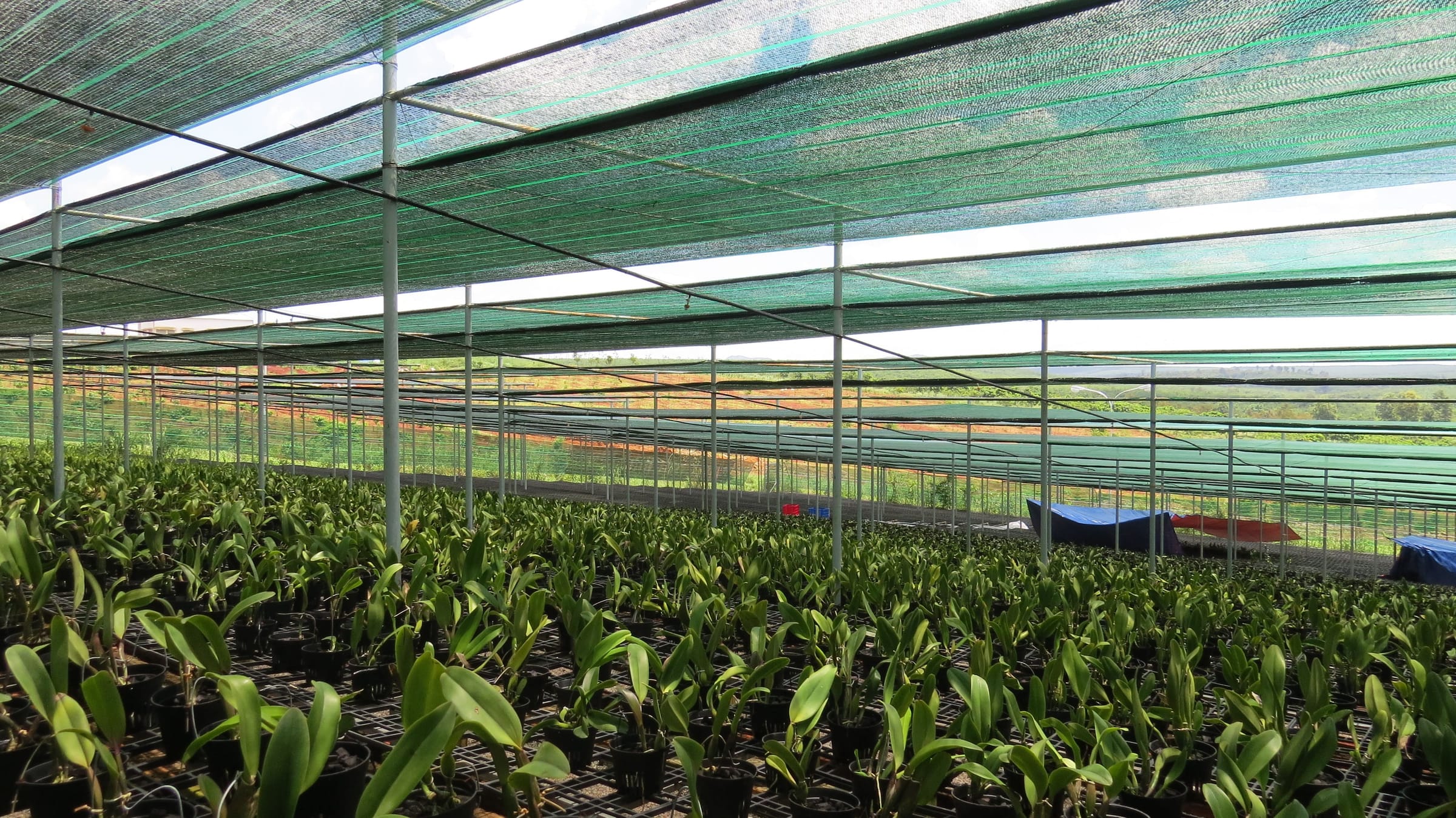 Tầm nhìn Unifarm